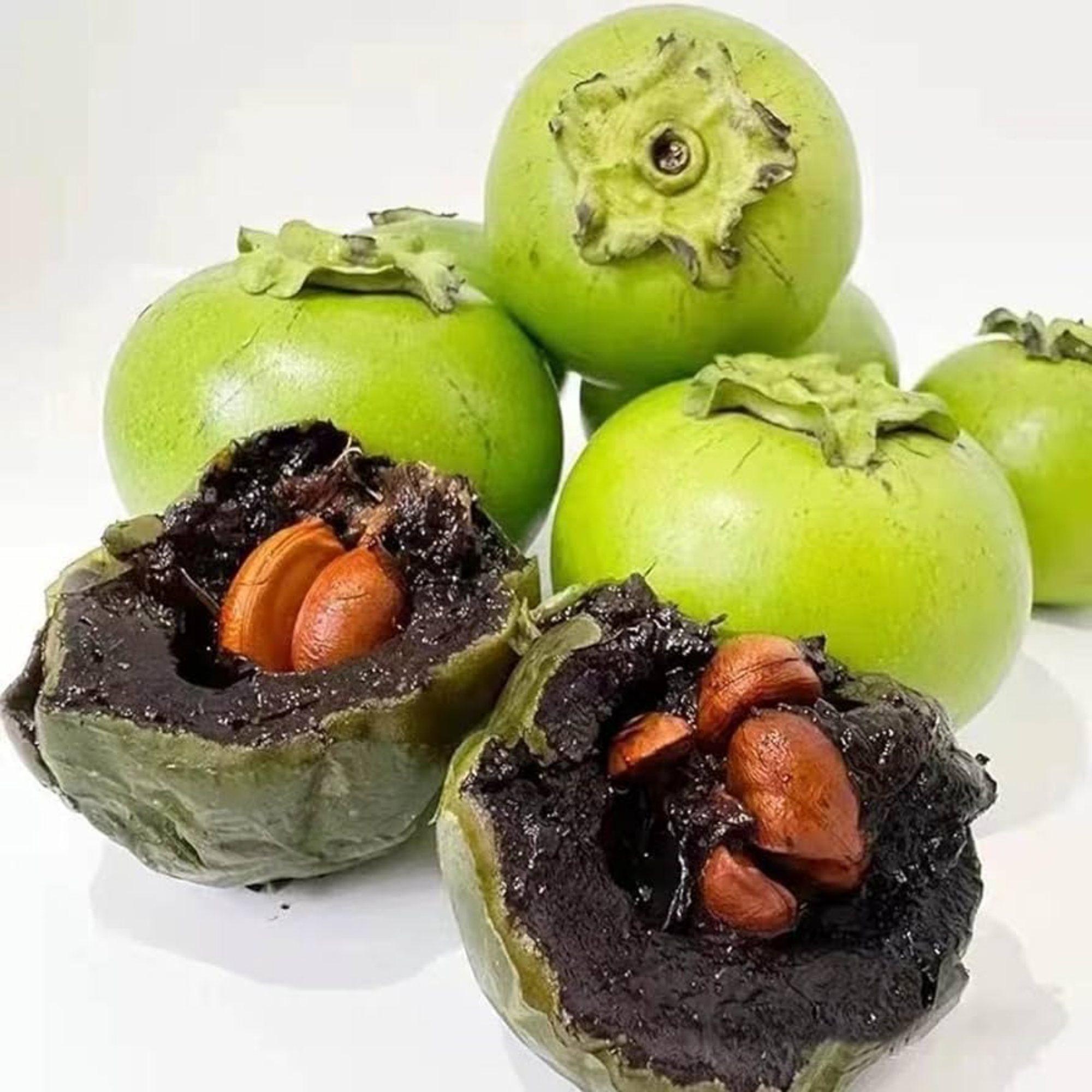 Japanese Chocolate Persimmon Cuttings (Pre-Order for July 2025)