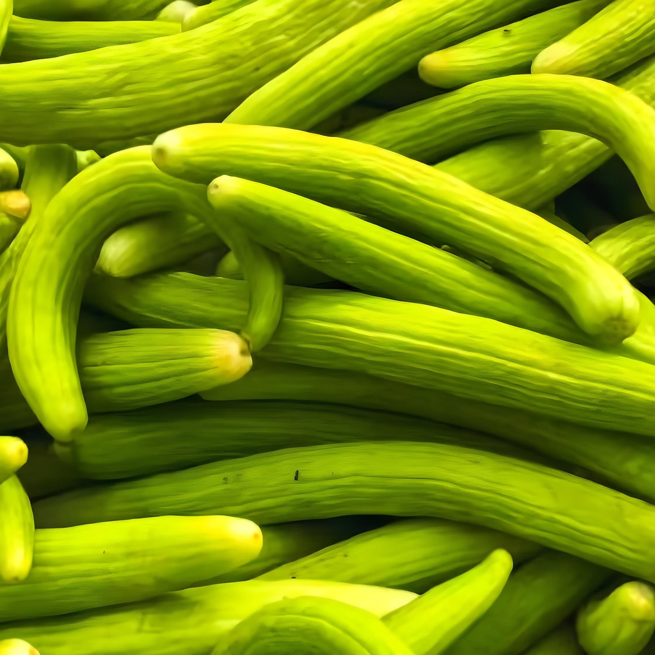 Long Cucumber | American Cucumber | Kakri Plant  ( Pre-Order for May 2026 )